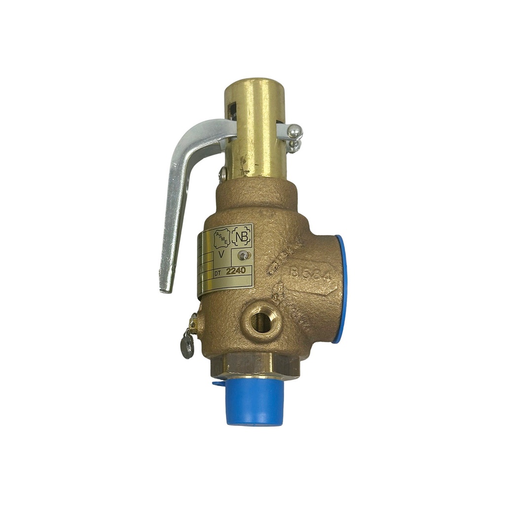 [853-0066] Steamaster™ Replacement Safety Valve 100 PSI